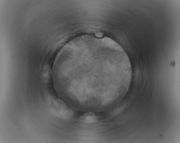 X0000113140228200910161204
