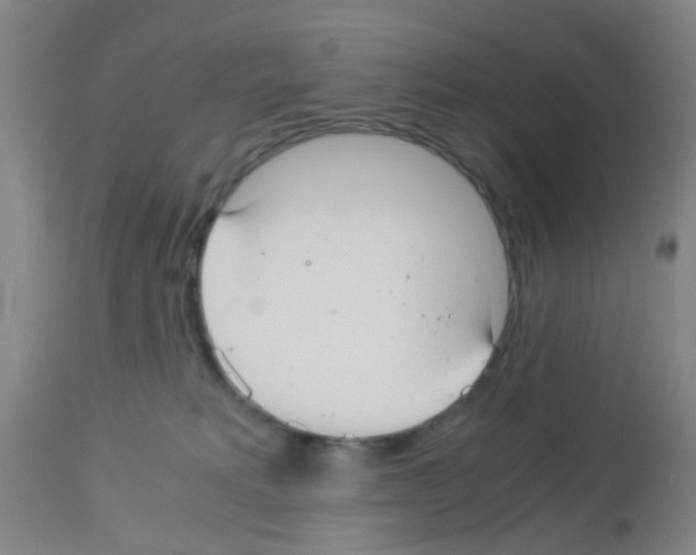 X0000113140229200910161204