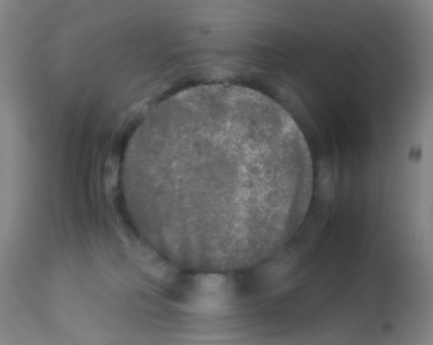 X0000113140230200910161204