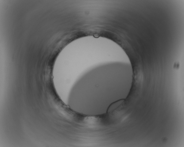 X0000113140231200910161204