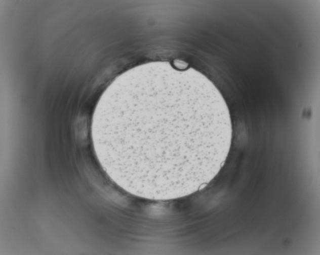 X0000113140232200910161204