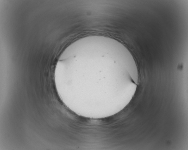 X0000113140233200910161204