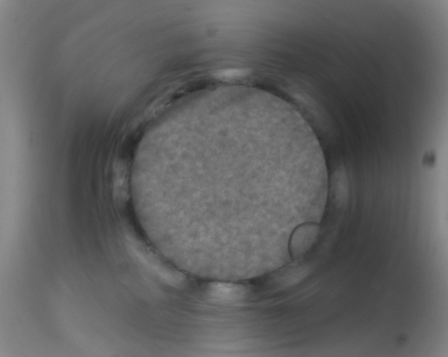 X0000113140234200910161204