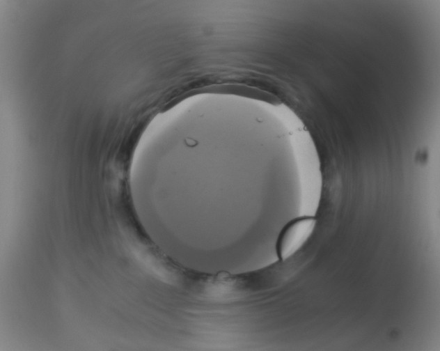 X0000113140235200910161204