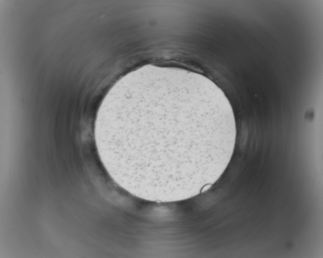 X0000113140236200910161204