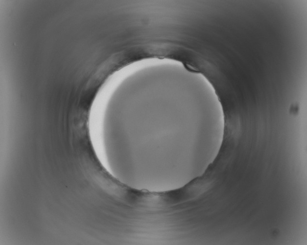 X0000113140237200910161204