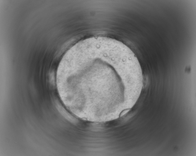 X0000113140238200910161204