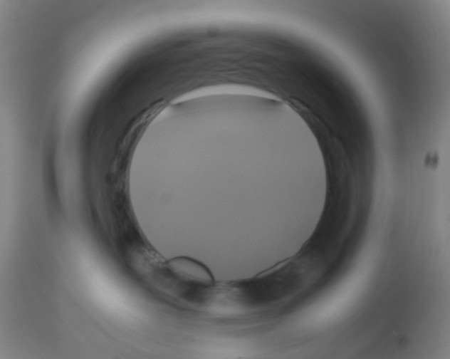 X0000113140239200910161204