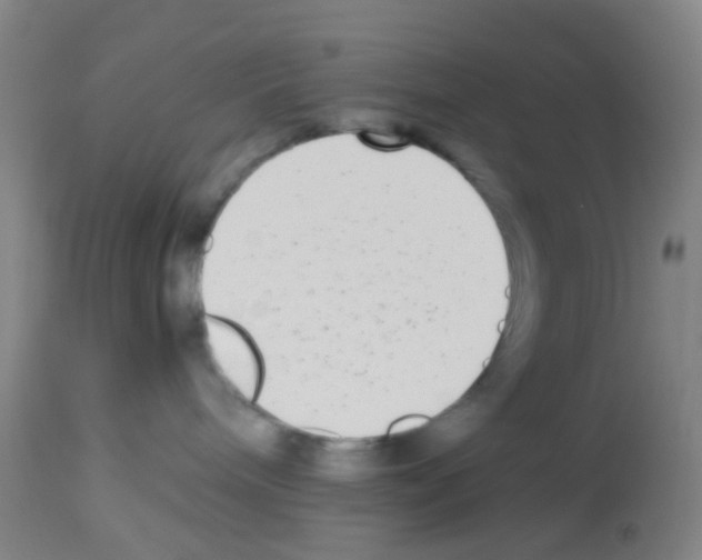 X0000113140240200910161203