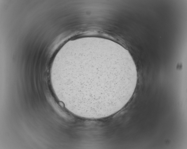 X0000113140242200910161203