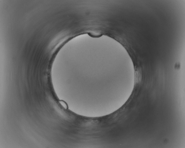 X0000113140243200910161203
