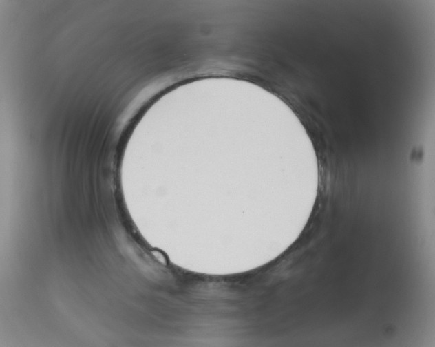 X0000113140244200910161203