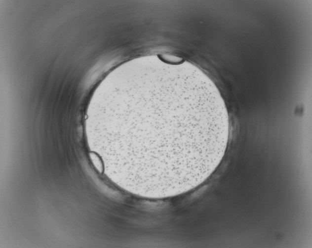 X0000113140245200910161203