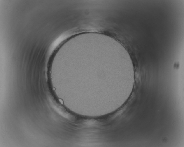 X0000113140246200910161203
