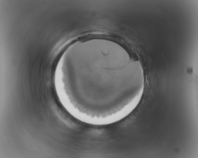 X0000113140247200910161203