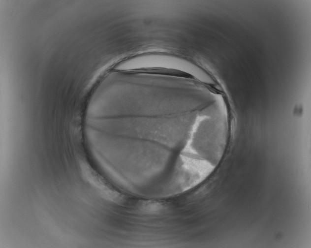 X0000113140249200910161203