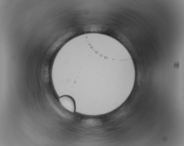 X0000113140251200910161203