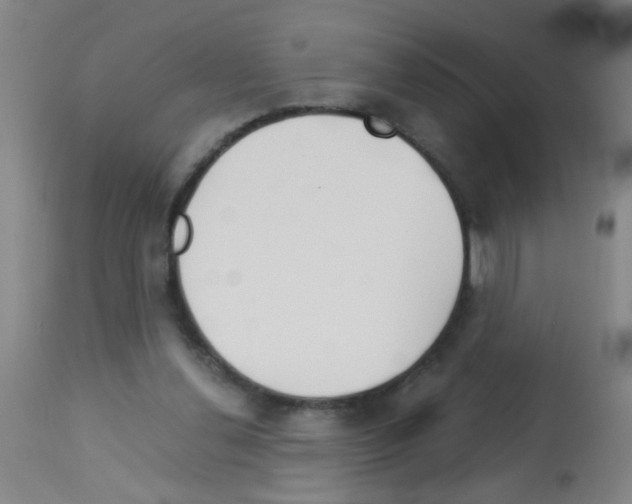 X0000113140252200910161203