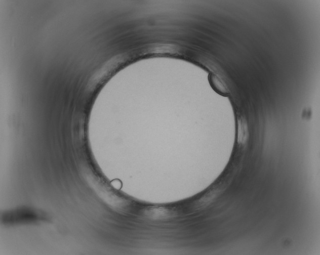 X0000113140253200910161203