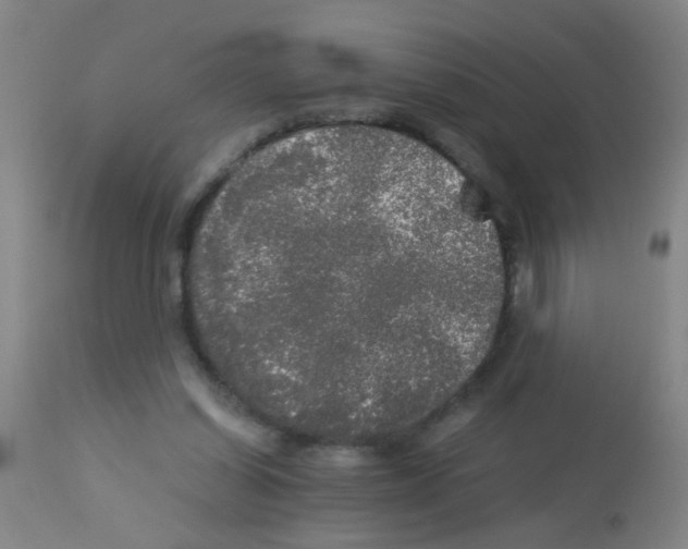 X0000113140254200910161203