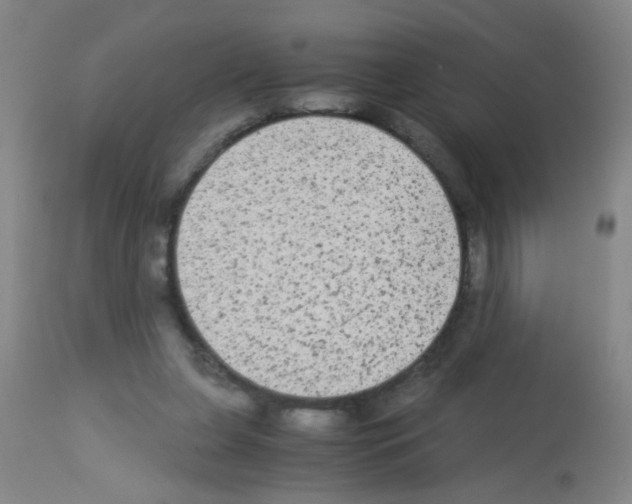 X0000113140255200910161203