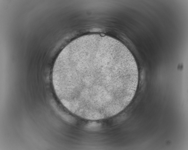 X0000113140257200910161203