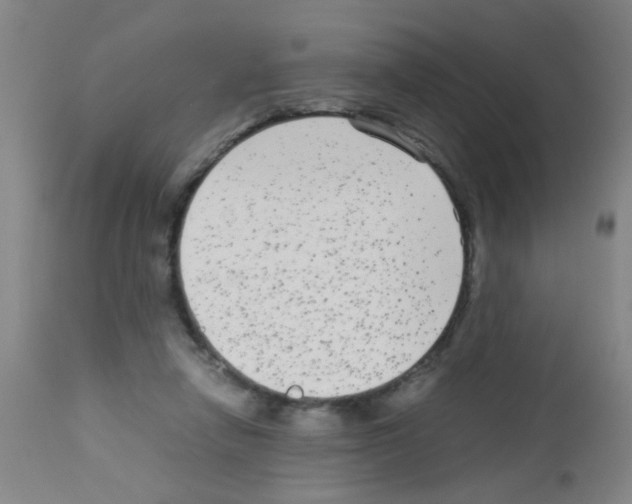 X0000113140258200910161203