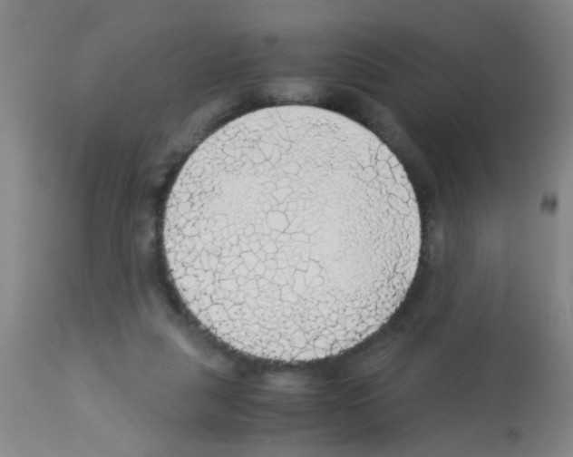 X0000113140259200910161203