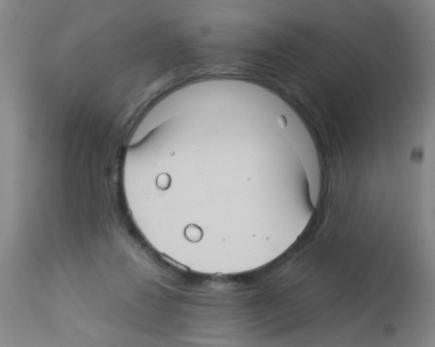 X0000113140260200910161203