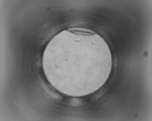 X0000113140261200910161203