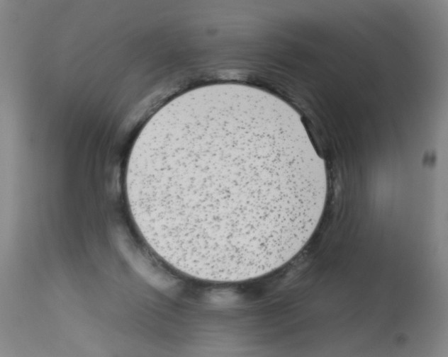 X0000113140262200910161203