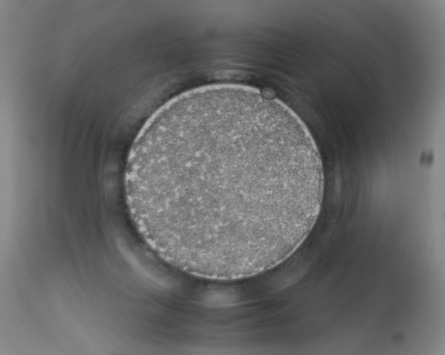 X0000113140263200910161203