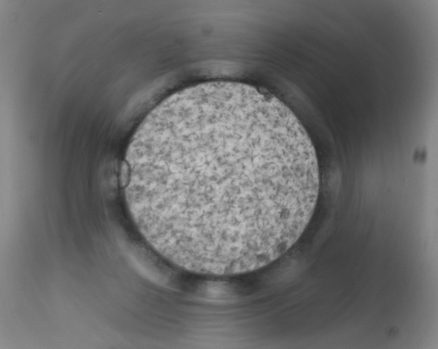 X0000113140264200910161203