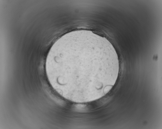 X0000113140265200910161203