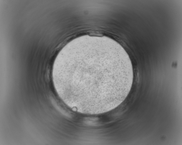 X0000113140266200910161203