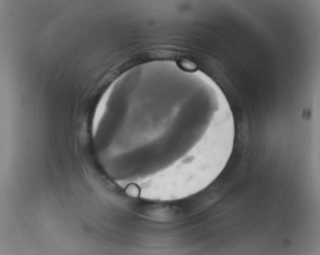 X0000113140267200910161203