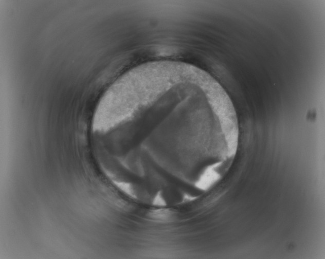 X0000113140269200910161203