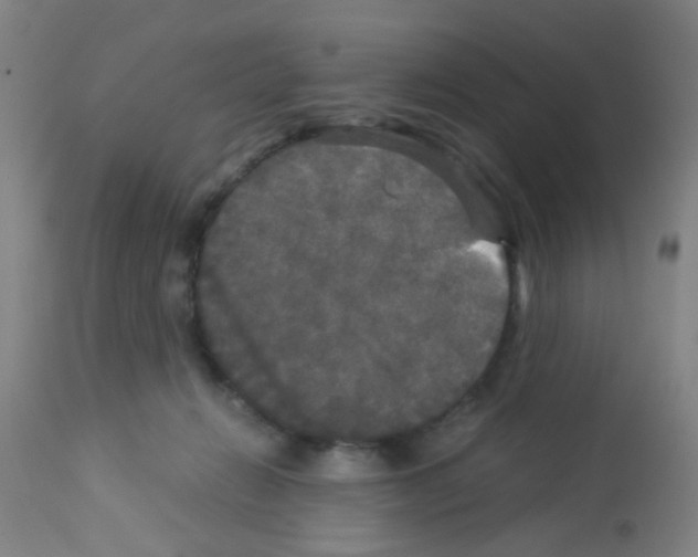 X0000113140270200910161203