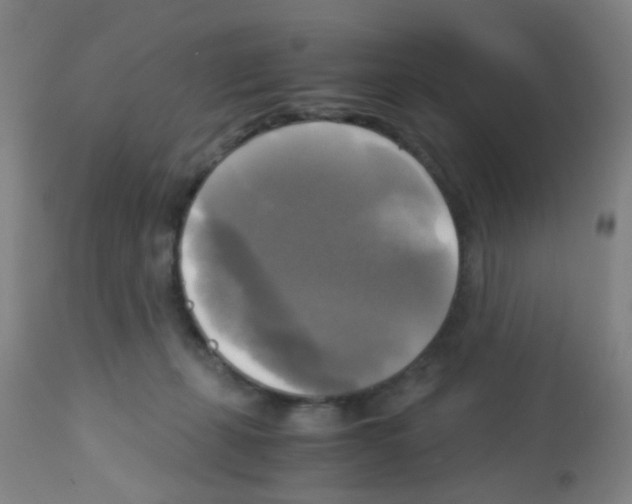 X0000113140271200910161203