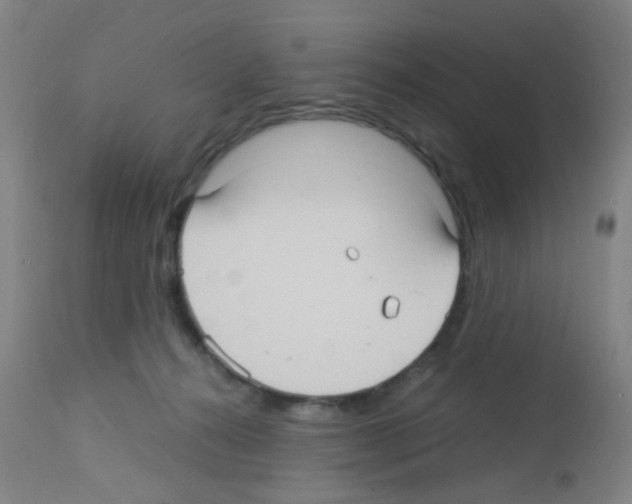 X0000113140272200910161203