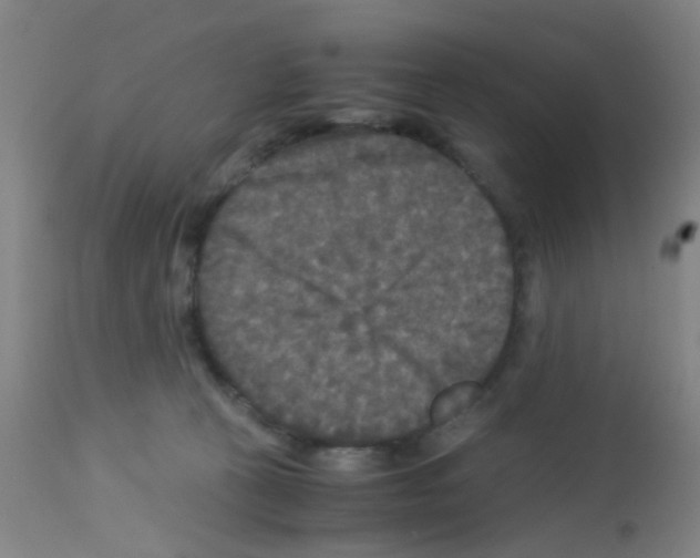 X0000113140273200910161203
