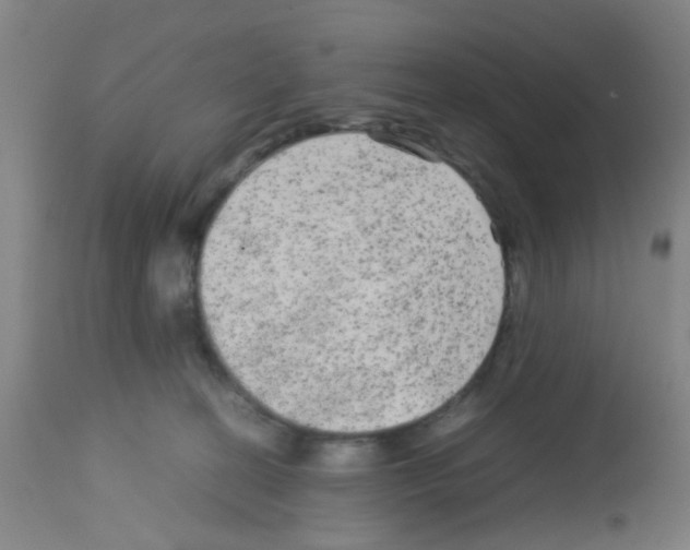 X0000113140274200910161203