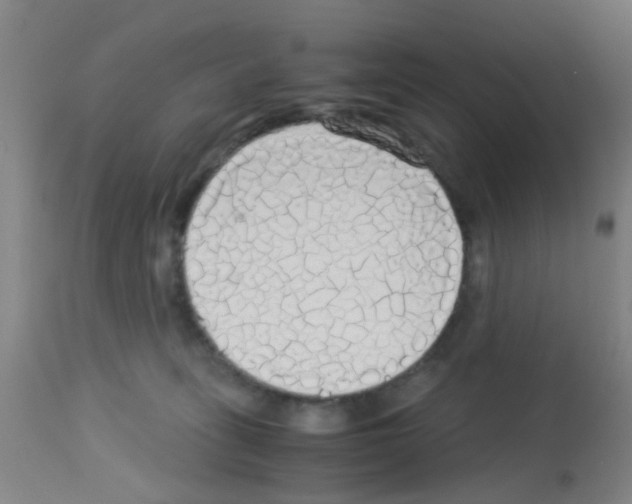 X0000113140275200910161203