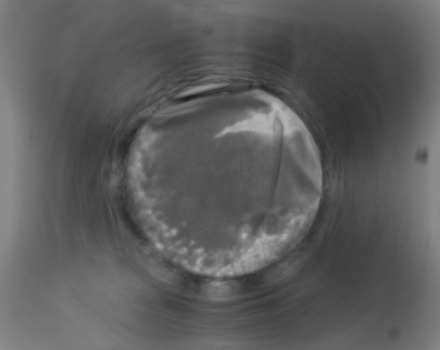 X0000113140277200910161203