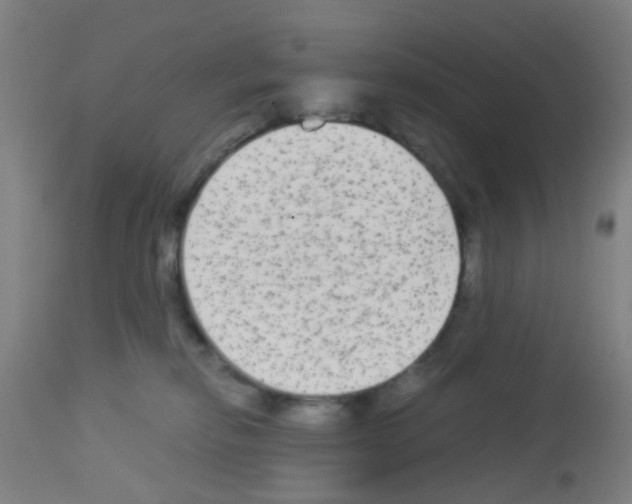 X0000113140278200910161203