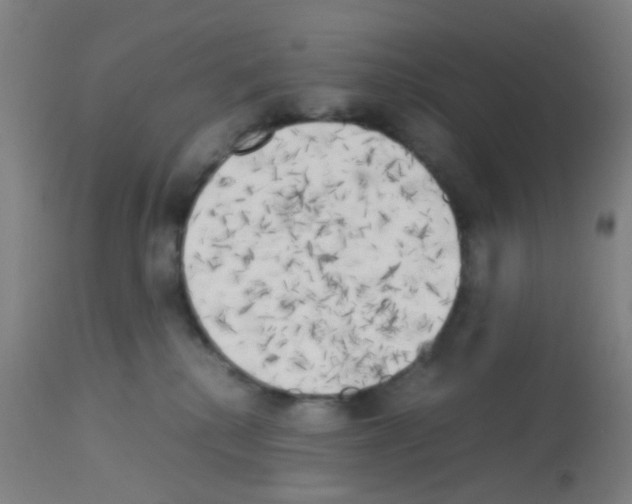 X0000113140280200910161203