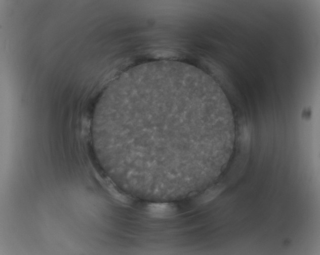 X0000113140281200910161203