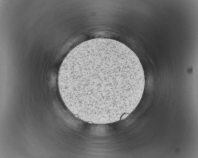 X0000113140282200910161203