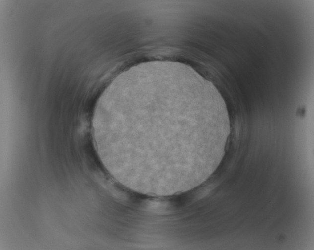 X0000113140284200910161203