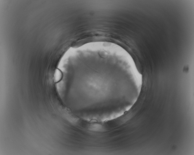 X0000113140285200910161203